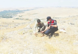 Özel düzenekle saka kuşu avlayan kaçak avcılar yakalandı