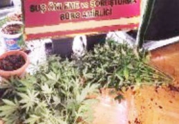 Özel düzenekle uyuşturucu yetiştirilen eve operasyon
