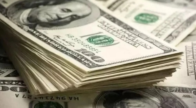 Özel sektör bir yıl içinde 40 milyar dolar dış borç ödeyecek