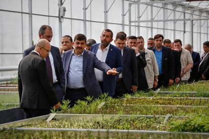 &#8220;Özel sektör mantığıyla çalışan çok güzel bir sera olmuş&#8221;