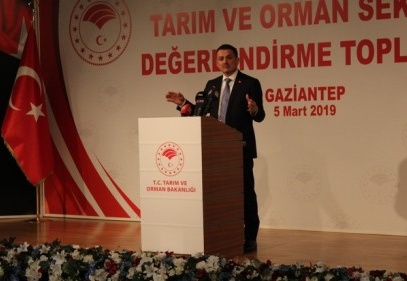 Pakdemirli: “2-3 yıl içinde kırmızı eti ihraç edecek duruma geleceğiz” 