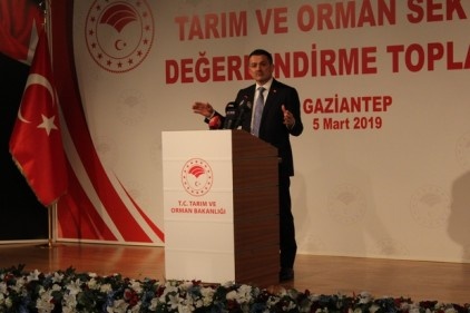 Pakdemirli: &#8220;2-3 yıl içinde kırmızı eti ihraç edecek duruma geleceğiz&#8221; 