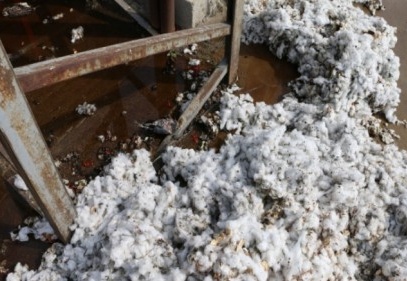 Pamuk fabrikasında çıkan yangın korkuttu 