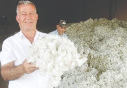 Pamuk fiyatı üreticilerin yüzünü güldürdü