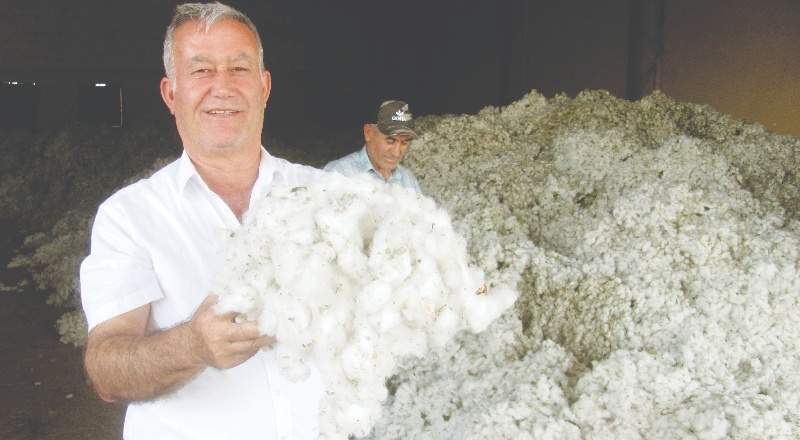 Pamuk fiyatı üreticilerin yüzünü güldürdü