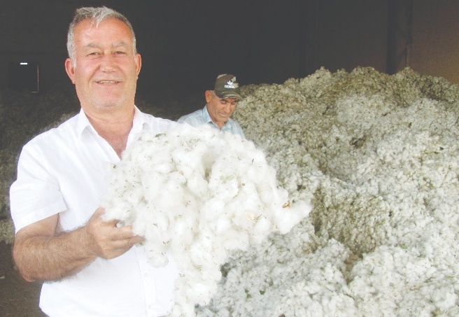 Pamuk fiyatı üreticilerin yüzünü güldürdü