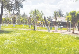 Pandemi, doğaya yaradı