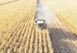 Pandemi, tarıma darbe vurdu