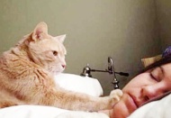 Pandemide kedi sahipleri kendilerini daha az yalnız hissetti