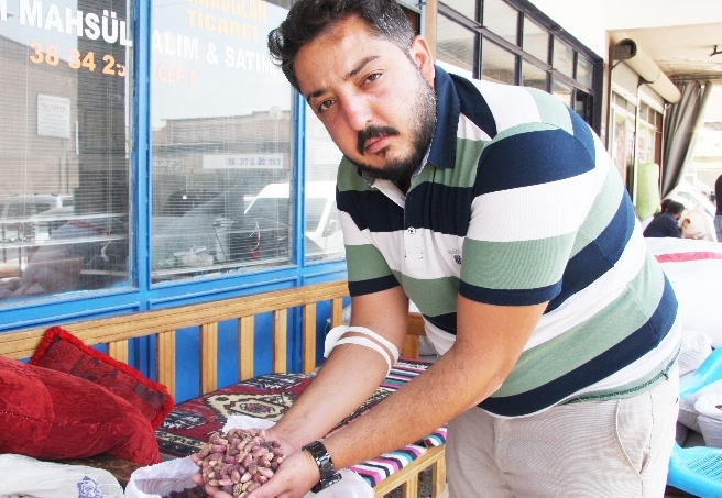 Pandeminin azalmasıyla fıstık satışlarında artış var