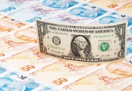 Para politikasının mevcut duruşu ve kredi genişlemesi ateşe benzin dökmeye devam ediyor