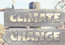 “Paris Anlaşması bir an önce Meclis'e getirilmeli”