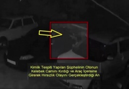 Park halindeki araçları soydu 