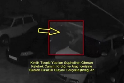 Park halindeki araçları soydu 