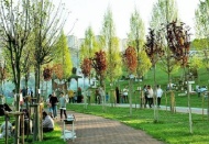 Park ve ağaç dikimiyle ilçenin çehresini değişti