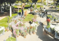 Parklar sonbahar bitkileriyle canlandırıldı