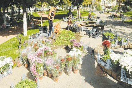Parklar sonbahar bitkileriyle canlandırıldı