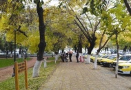 Parklarda sonbahar şenliği var