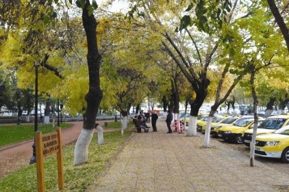 Parklarda sonbahar şenliği var