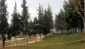 Parkta bebek cesedi bulundu