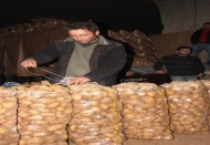 Patates düşüşe geçti