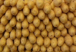 Patates sektör temsilcilerini sevindirdi