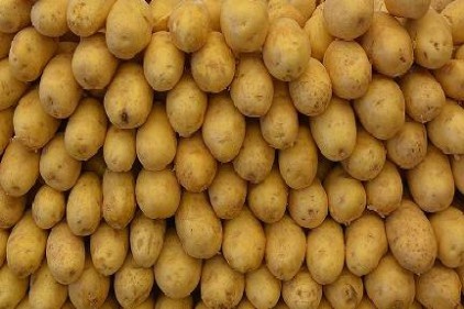 Patates sektör temsilcilerini sevindirdi