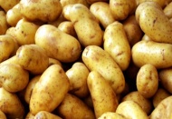 Patates tarlada 25 kuruş, pazarda 1,5 lira