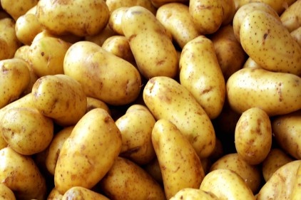 Patates tarlada 25 kuruş, pazarda 1,5 lira