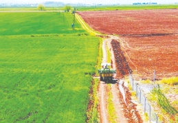 Pazar bulacağız gerektiğinde bazı ürünleri burada işleyeceğiz