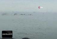 Pendik'te yunusların denizdeki gösterisi kamerada