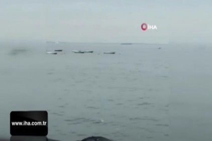 Pendik&#039;te yunusların denizdeki gösterisi kamerada
