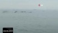 Pendik'te yunusların denizdeki gösterisi kamerada
