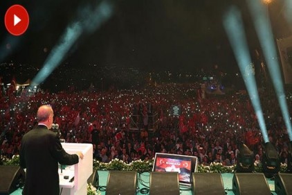 Pensilvanya&#039;daki melunun büyüttüğü ahtapotun kollarını kestik