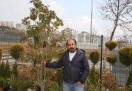 Peyzaj projelerinin uygulanması gerekiyor