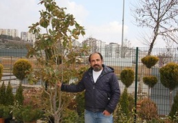 Peyzaj projelerinin uygulanması gerekiyor