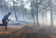 Piknik ateşi bir hektarlık alanı kül etti