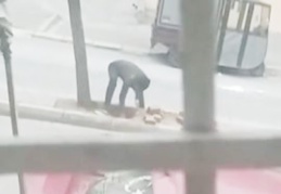 Pişkin kablo hırsızı vatandaşa tepki gösterdi