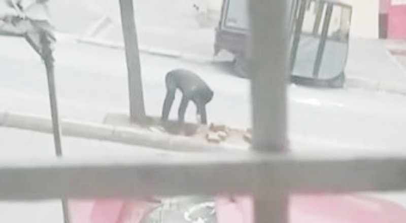 Pişkin kablo hırsızı vatandaşa tepki gösterdi