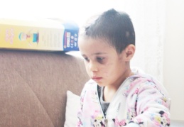 Pitbull sahibinin tahliye talebi reddedildi