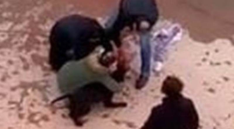 Pitbull saldırısı davası başladı