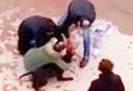 Pitbull vahşetinde tutuklu sanıklar tahliye edildi