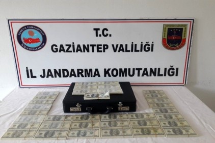 Piyasaya sahte dolar süren 2 kişi yakalandı 