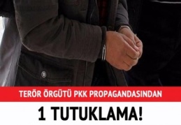PKK/PYD propagandası yapan 1 kişi tutuklandı