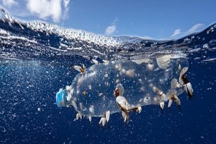 Plastik atıkların yeni adresi Türkiye: İthalat beşe katlandı