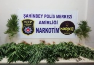 Polis uyuşturucu tacirlerine göz açtırmıyor 