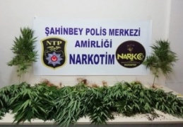 Polis uyuşturucu tacirlerine göz açtırmıyor 