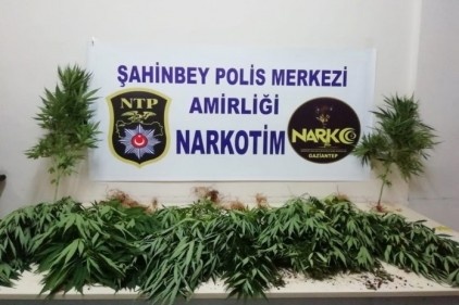 Polis uyuşturucu tacirlerine göz açtırmıyor 