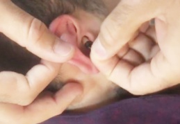 Polisi şaşırtan kopya düzeneği