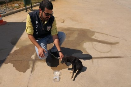 Polislerden yaralı köpeğe şefkat eli 